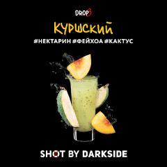 Табак для кальяна Darkside Shot Куршский Вайб (Нектарин, Фейхоа, Кактус) 30 гр